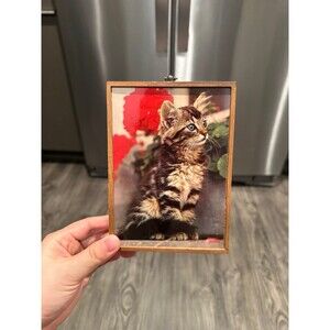 APRIL HOUSE Miniature Gallery Print Kittens Cats Small 6x4.5